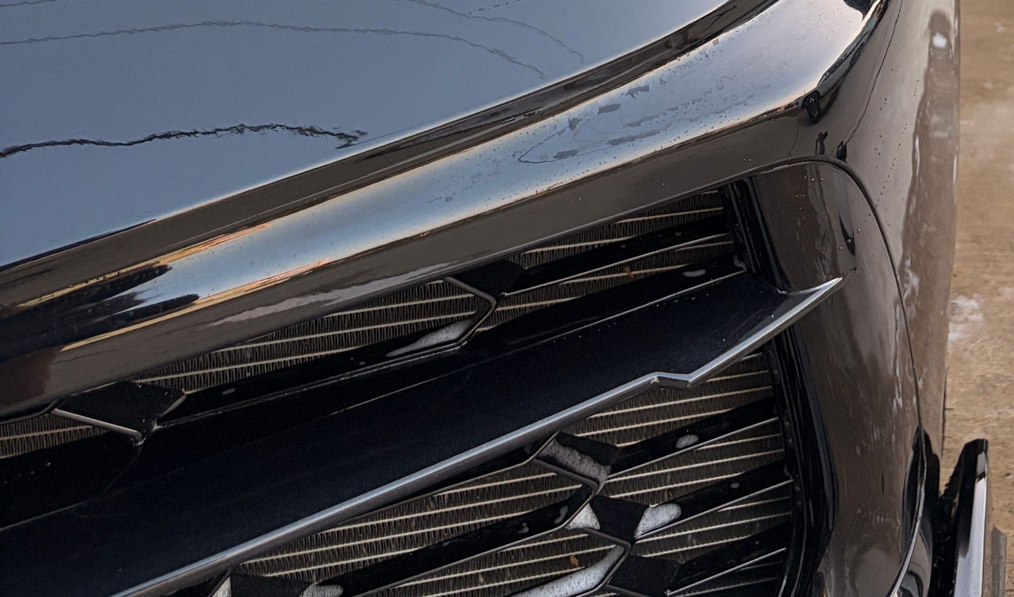Close-up of the Corvette's front grille mesh and hood crease after detailing